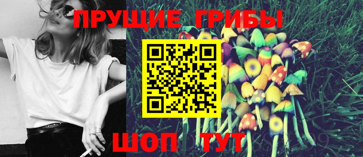 Кохма  Псилоцибиновые грибы Psilocybe  Вход с VPN 