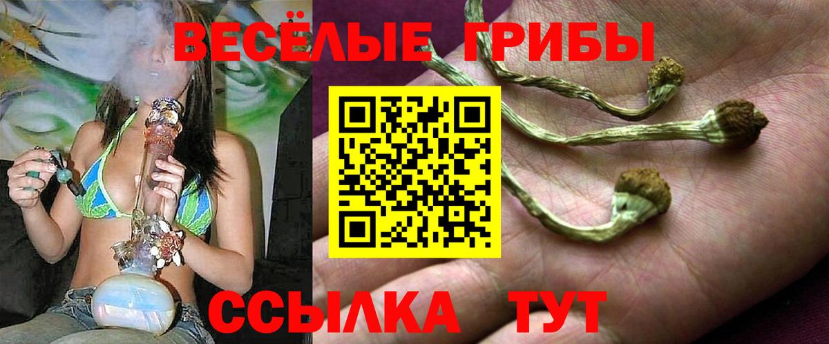 Галлюциногенные грибы мицелий Кохма